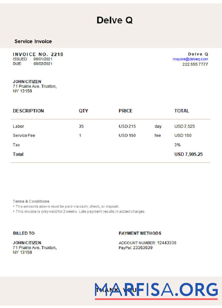 Blank USA Delve Q invoice real example